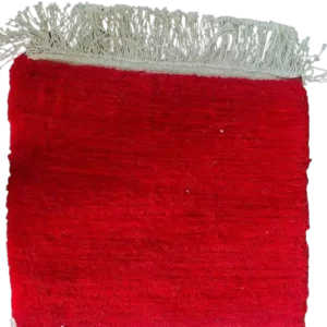 Red Hand Knotted Rug